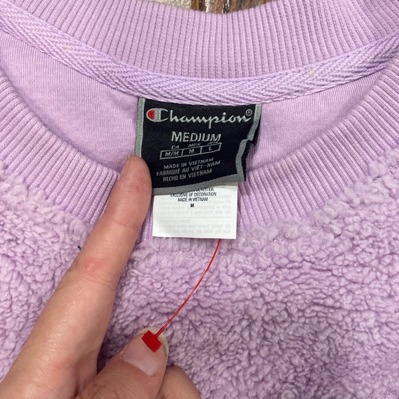 NWOT Urban Outfitters Exclusive Champion Sherpa Crewneck - Picture 3 of 5